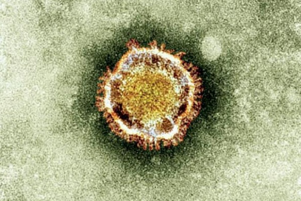 coronavirus amenaza la salud